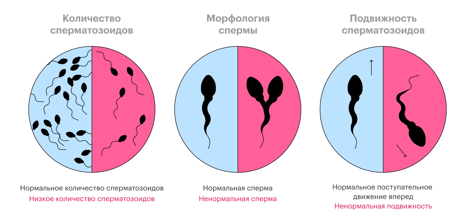 Сперма вытекает из вагин и многое интересное