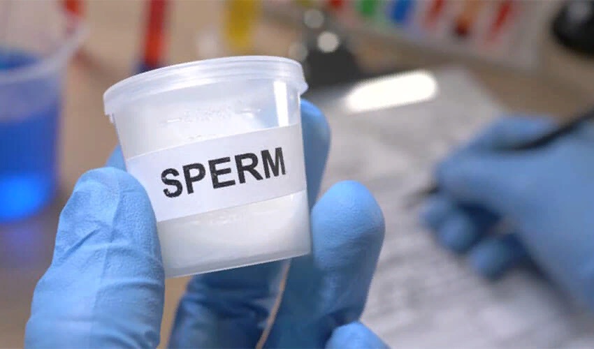 Buy sperm on internet